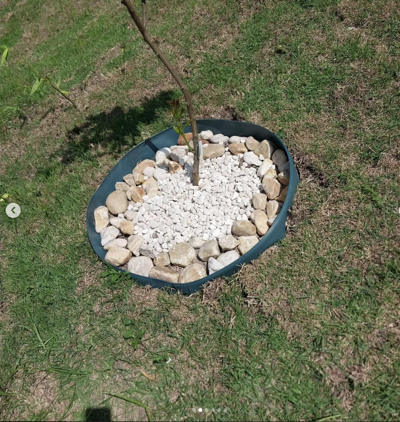 Paisagismo e jardinagem da Cadore Serviços
